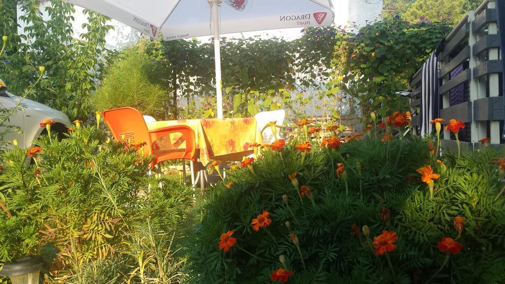 Aparthotel Vila Tufi Velipojë Oda fotoğraf